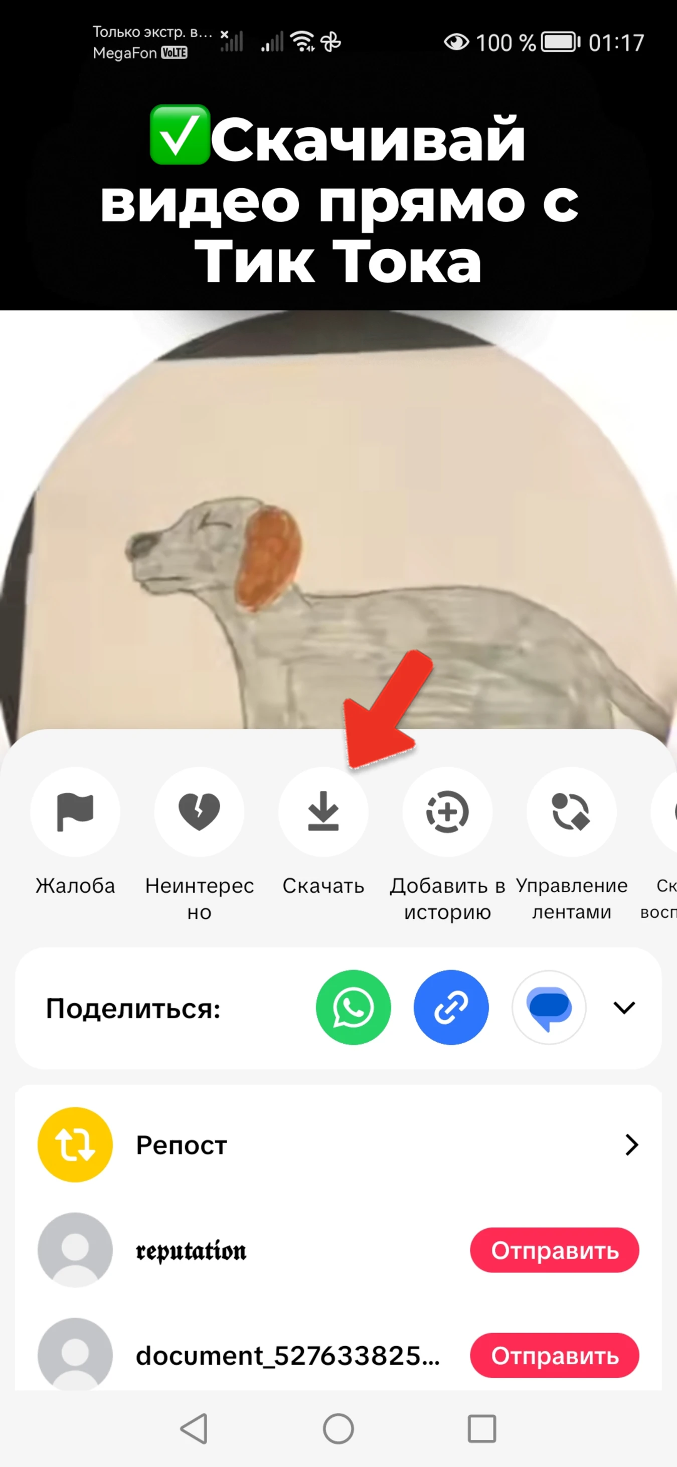 Скачивание видео